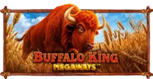 ภาพเกม Buffalo King Megaways ที่ save168 รวบรวมไว้